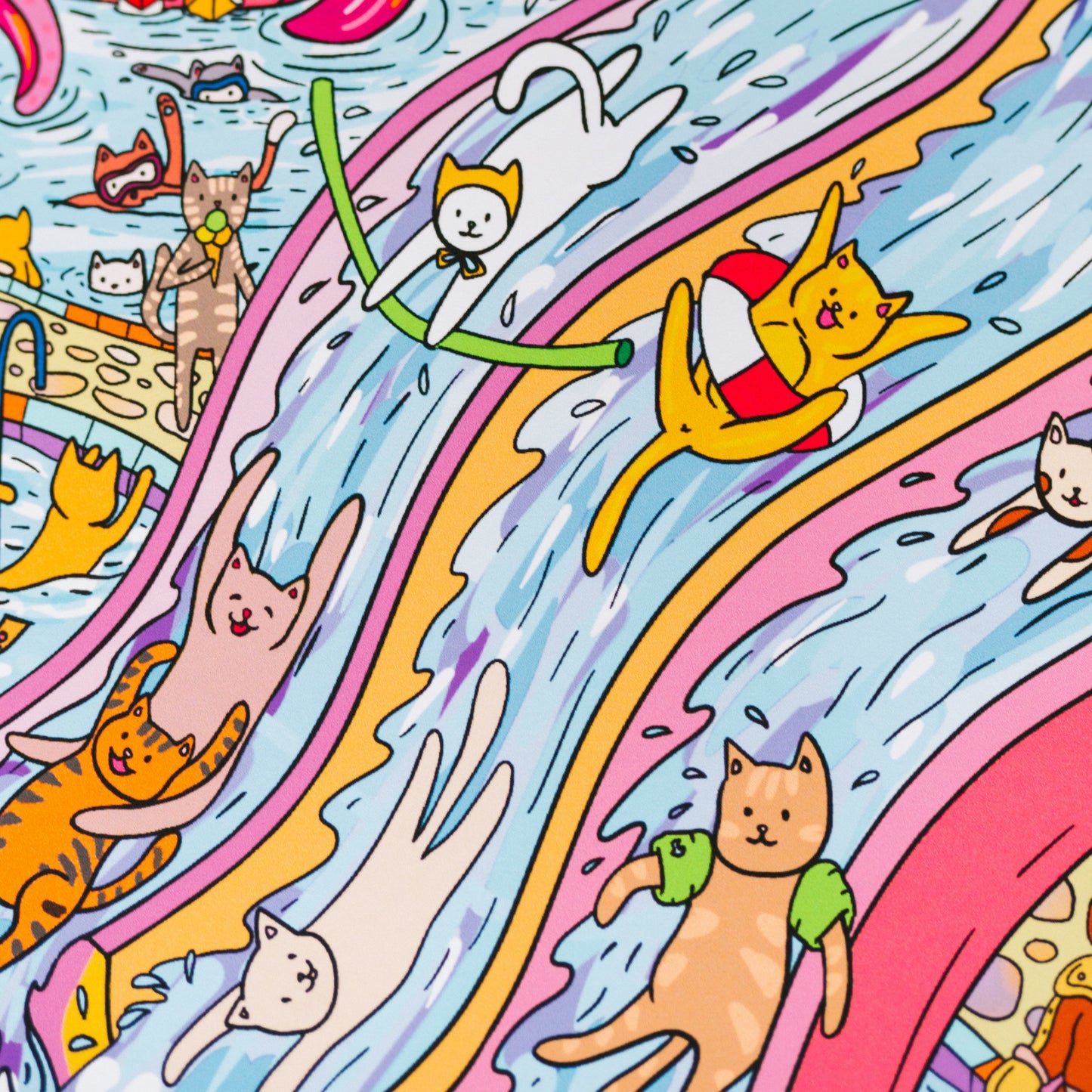 Cats in a water park