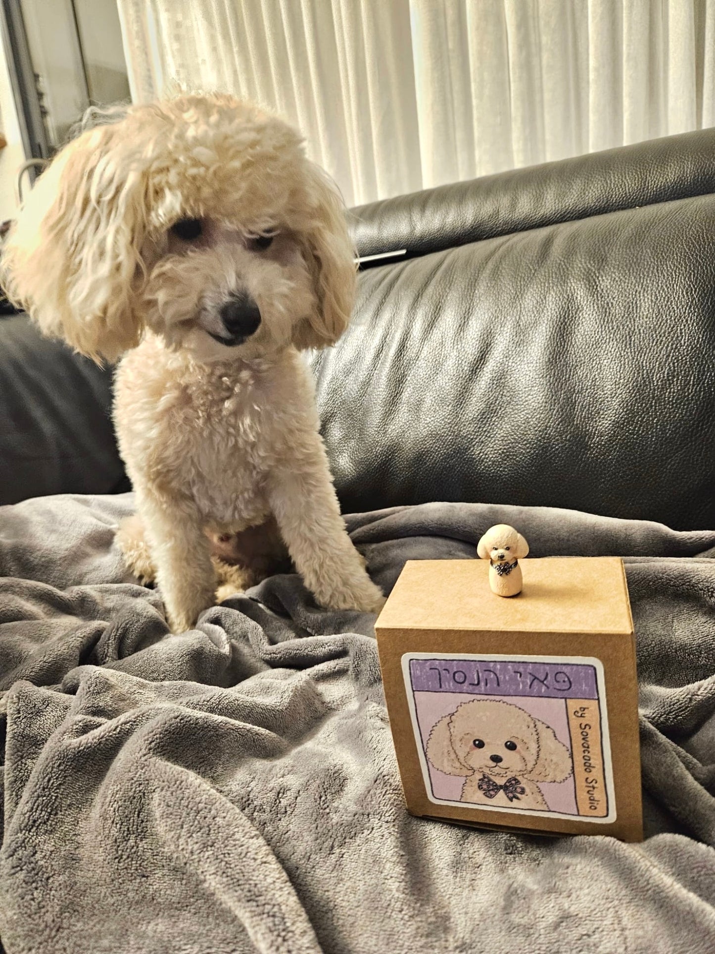 Custom pet in a tamagotchi/heart